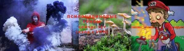 PSILOCYBIN Зеленодольск
