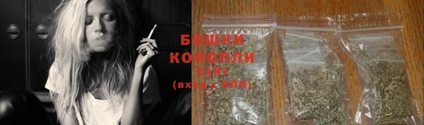 PSILOCYBIN Зеленодольск