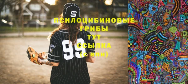 соль ск Зерноград