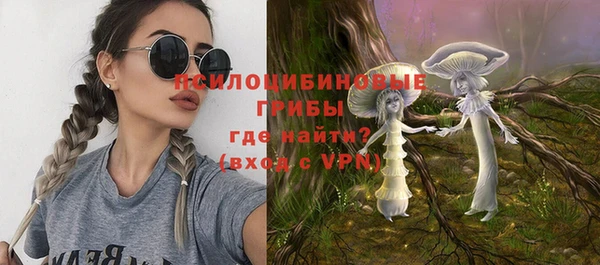соль ск Зеленокумск