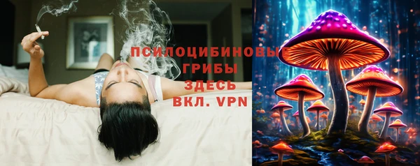соль ск Зерноград